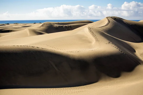 Sanddyner Maspalomas Gran Canaria Kanarieöarna — Stockfoto