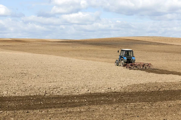 Burada Büyür Bir Çiftçi Tahıl Tarım Alanı Buğday Alanı Telifsiz Stok Imajlar