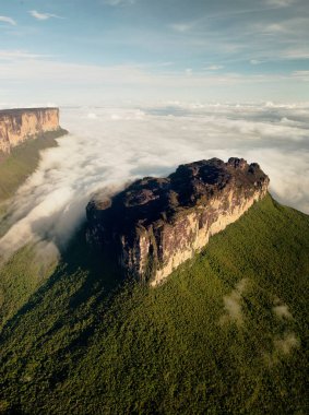 The magnificent Mount Roraima, towers above the forest landscape of the Gran Sabana in Venezuela clipart
