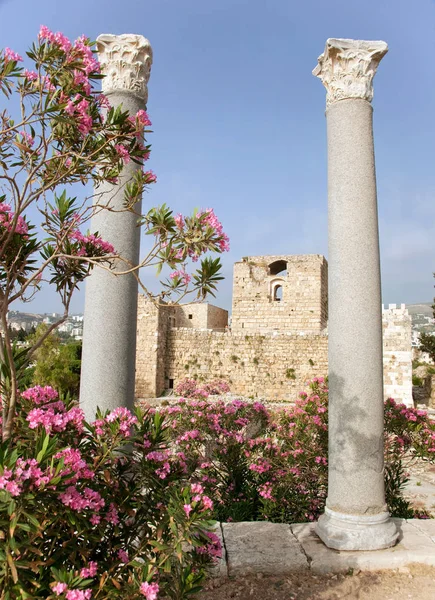 Restos Castillo Cruzados Construido Siglo Xii Pequeña Ciudad Costera Byblos — Foto de Stock