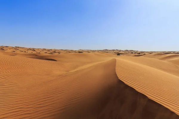 Sanddyner Öknen Dubai Förenade Arabemiraten — Stockfoto