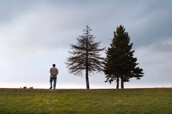 站在两棵树旁边的人 — 图库照片