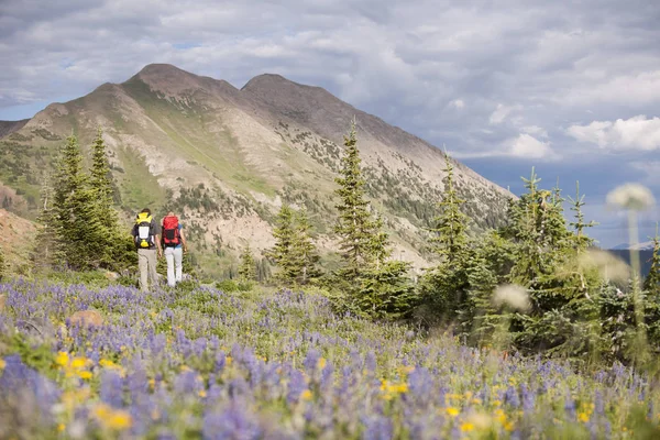 West Elk Mountainsにカップルハイキングトレイル403 Crested Butte コロラド州 アメリカ — ストック写真