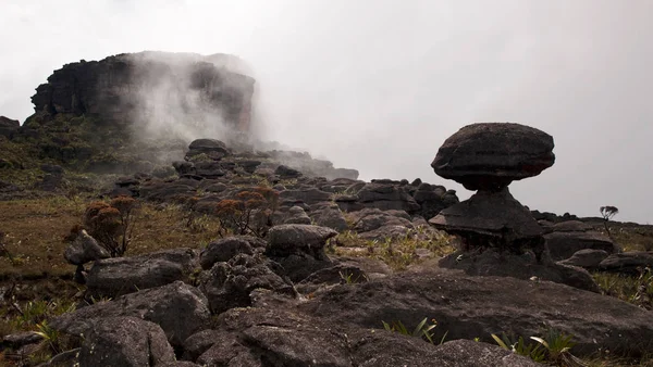 Дивні Скелі Формуються Хмарах Тумані Вершині Гори Рорайма Величезної Плосковершинної — стокове фото