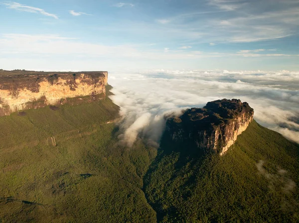 Den Magnifika Berget Roraima Torn Ovanför Skogslandskapet Gran Sabana Venezuela — Stockfoto
