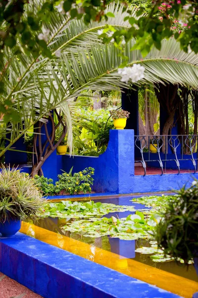 Jardin Majorelle Boyanmış Duvarlar Marakeş Fas Egzotik Bahçeler — Stok fotoğraf