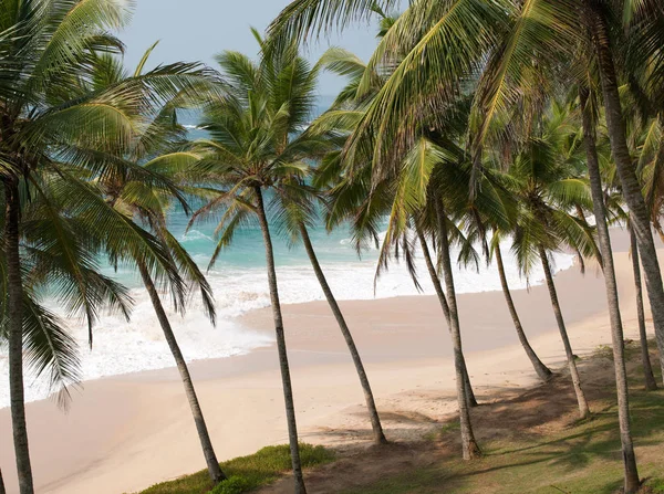 Palmy Plaża Oceanie Indyjskim Tangalle Sri Lanka — Zdjęcie stockowe