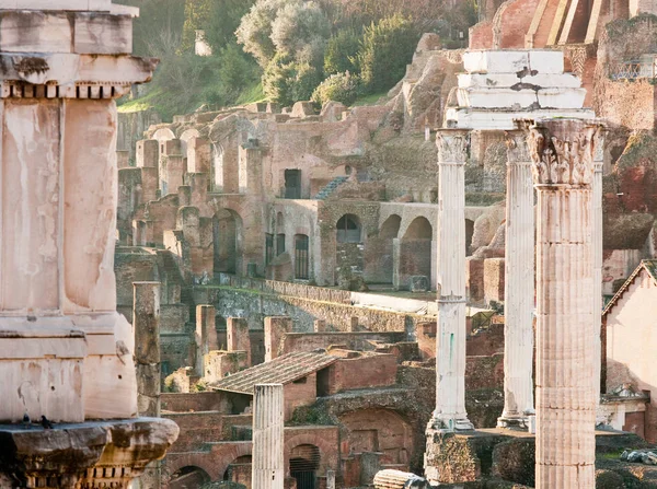 Römisches Forum Rom Italien — Stockfoto