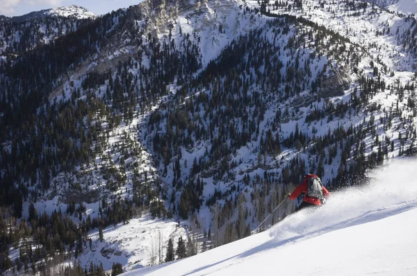 Man Backcountry Ski Meadows Silverfork Basin Wasatch Mountains Utah États — Photo