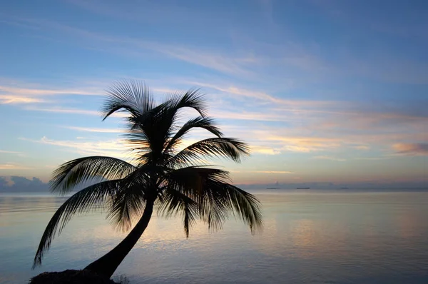 Восход Солнца Тропическом Пляже Карибское Море Пласенсия Белиз — стоковое фото