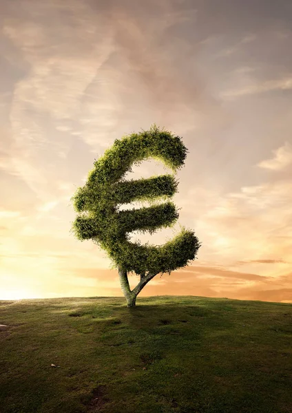 Topiary Tree Financial Symbol Euro Sign — 图库照片