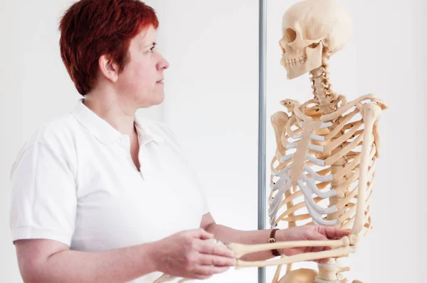 Жінка Тримає Руку Модельного Скелета — стокове фото