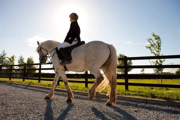 Menino Cavalo Equitação Luz Solar — Fotografia de Stock