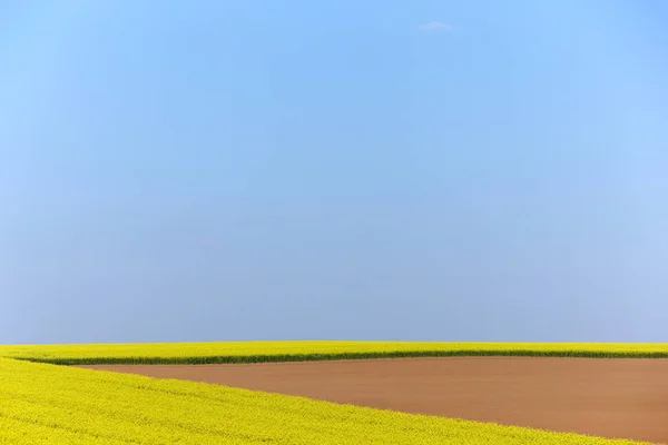 Paisagem Campo Agrícola Terra Rural — Fotografia de Stock