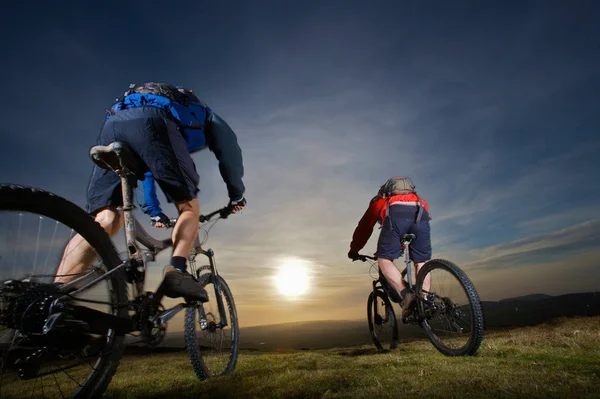Two mountain bikers riding together.