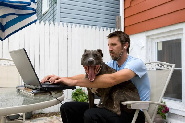 Человек Ноутбуком Собакой Коленях — стоковое фото