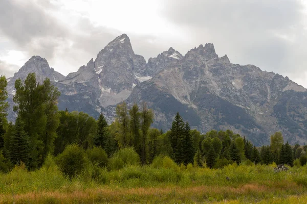 Schlangenfluss Bei Schwabacher Landung Mit Teton Gebirge Hintergrund — Stockfoto