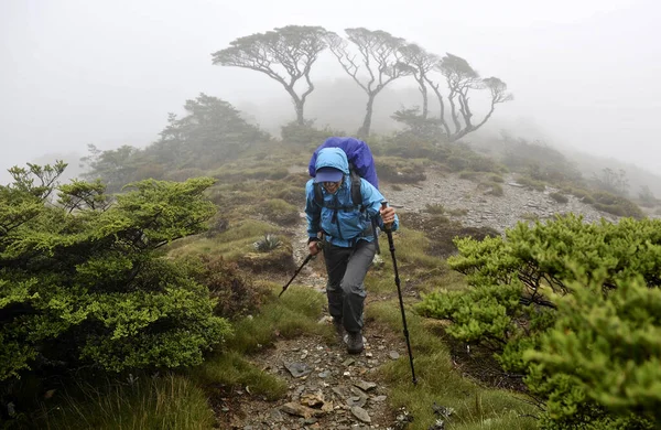 Mujer Adulta Caminando Por Parque Nacional Kahurangi Nueva Zelanda — Foto de Stock