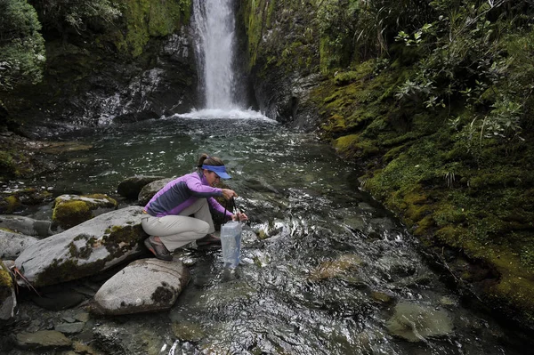 Midden Volwassen Vrouw Neemt Watermonster Van Beek Kahurangi National Park — Stockfoto