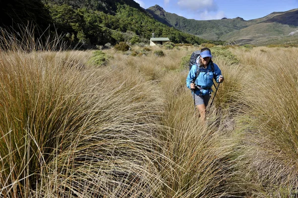 Midden Volwassen Vrouw Wandelen Door Kahurangi National Park Nieuw Zeeland — Stockfoto