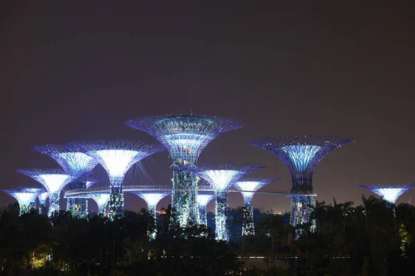 Pohled Superstrom Háj Zahradách Zátoky Noci Singapur — Stock fotografie