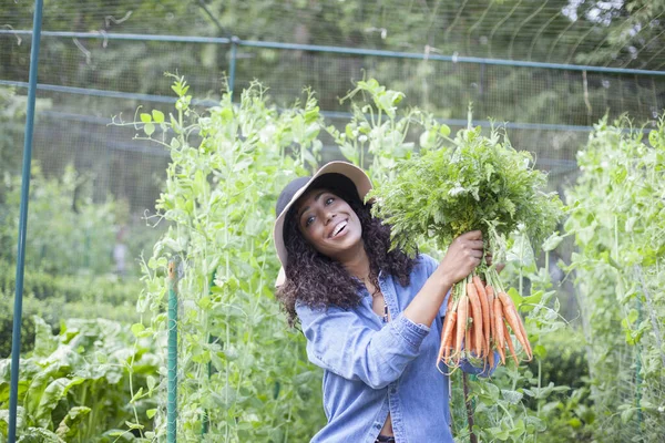 Женщина Держит Морковку Участка — стоковое фото