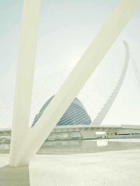 Ciudad Las Artes Las Ciencias Konstens Och Vetenskapens Stad Valencia — Stockfoto