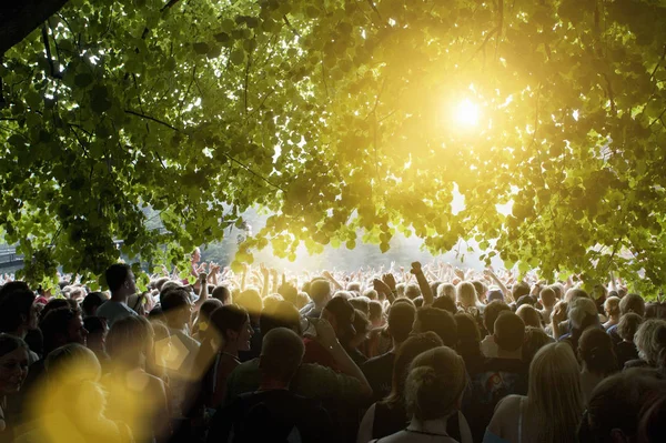 Vista Posteriore Della Folla Del Festival Con Braccia Alzate Alla — Foto Stock