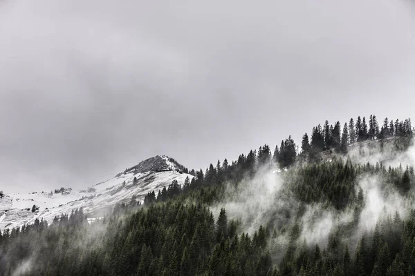 Blick Auf Waldnebel Und Schneebedeckte Berge Achenkirch Österreich — Stockfoto