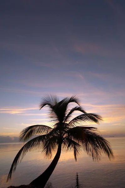 Wschód Słońca Tropikalnej Plaży Morze Karaibskie Placencia Belize — Zdjęcie stockowe