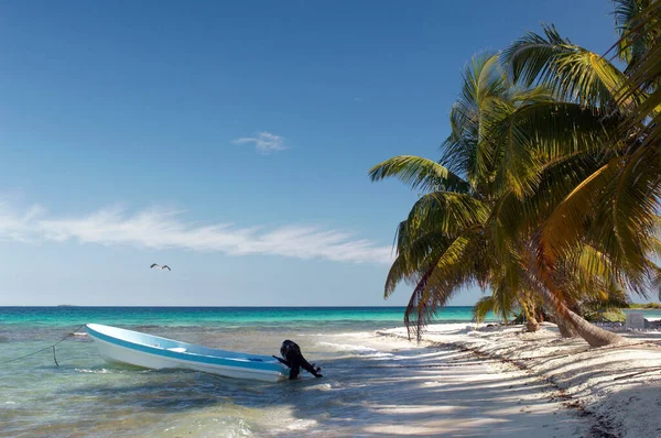 Motorboot Der Karibik Vertäut Durch Lachenden Vogel Cay Placencia Belize — Stockfoto