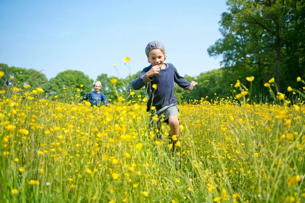 Bröder Som Springer Genom Långt Gräs Och Blommor — Stockfoto