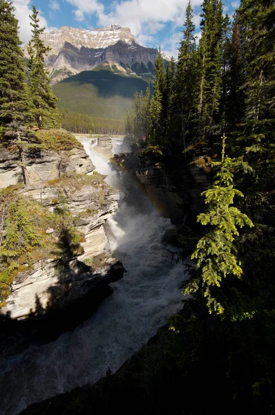 Athabassa Vízesés Icefield Autópályáról Sziklás Hegység Brit Kolumbia Banff Nemzeti — Stock Fotó