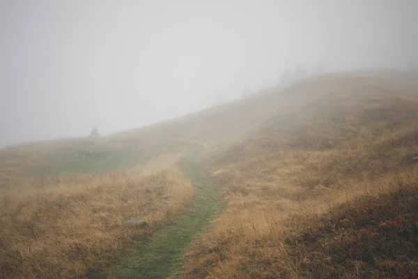 Misty Mountain Path Flaine Francouzské Alpy Francie — Stock fotografie
