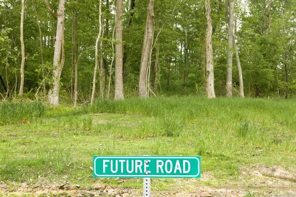 Οδική Πινακίδα Που Λέει Μελλοντικό Δρόμο Στο Δάσος — Φωτογραφία Αρχείου