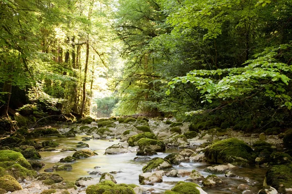 Río Bosque Cerca Col Faucille Región Del Jura Francia — Foto de Stock