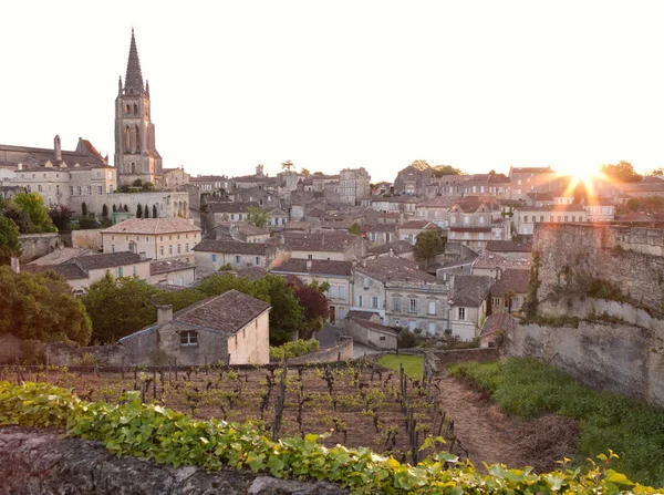 Виноградник Над Церквою Містом Святого Еміліона Франція — стокове фото