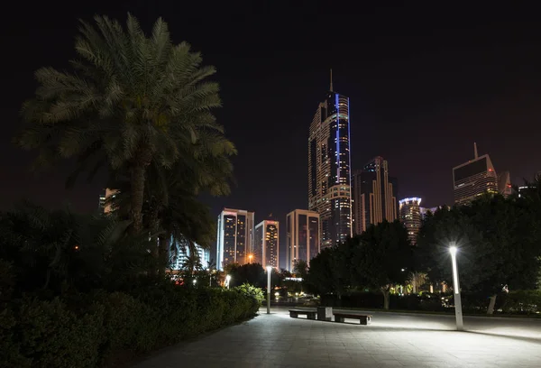 Palm Tree Street City Dubai Emirati Arabi Uniti — Foto Stock