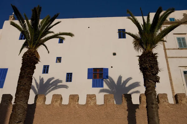 Palmbomen Vestingmuren Essaouira Marokko — Stockfoto