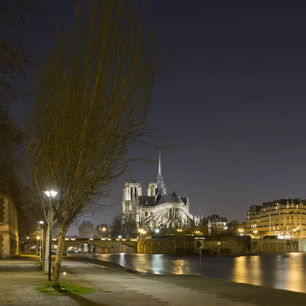 フランス パリの夜のノートルダムとセーヌ川の眺め — ストック写真