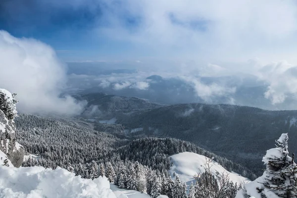 Widok Pokryte Śniegiem Wzgórza Lasy Lenggries Bayern Niemcy — Zdjęcie stockowe