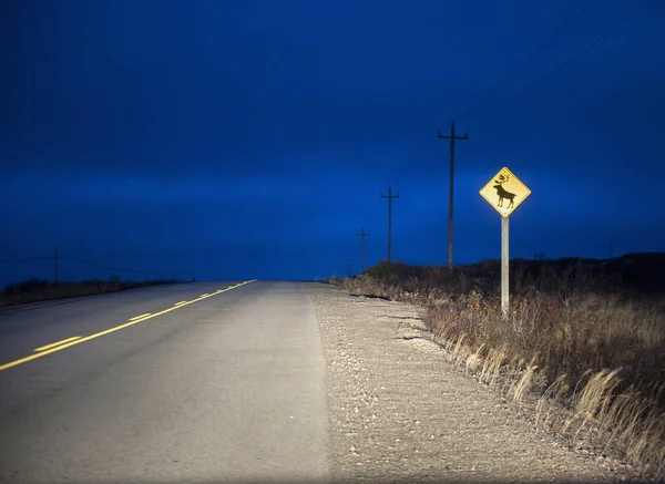 Rendieren Waarschuwingsbord Landelijke Weg Nachts Fogo Island Newfoundland Canada — Stockfoto