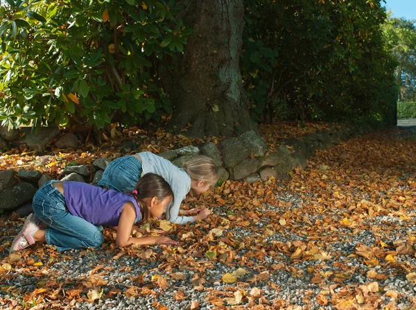 Dos Niñas Que Buscaban Otoño Marchan —  Fotos de Stock