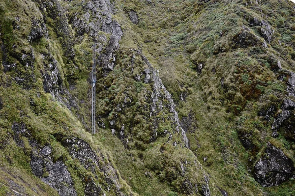 ニュージーランドのTararua Ridge山のはしごを登る女性ハイカーの遠望 — ストック写真