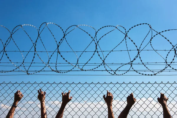 Three People Hands Wire Fence — Stock Photo, Image