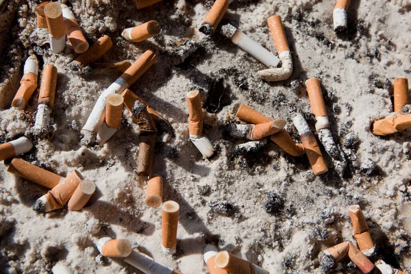 Cigarettacsikkek Homokban — Stock Fotó