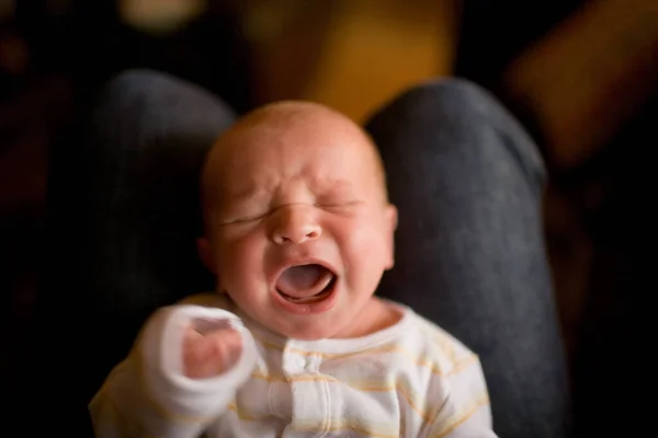 新生児は親の膝の上で泣き — ストック写真