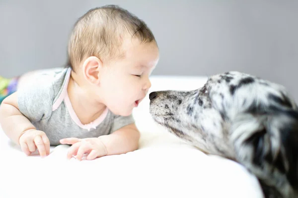 赤ちゃん女の子顔へペット犬 — ストック写真