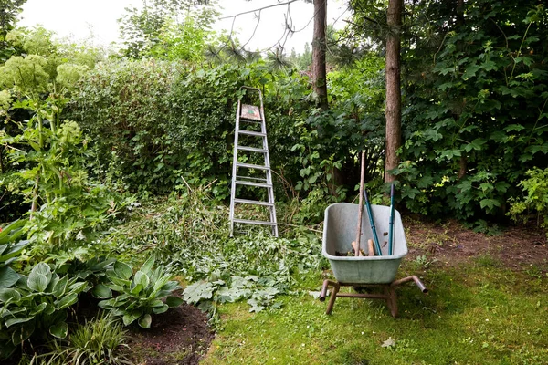 Praca Ogrodzie — Zdjęcie stockowe