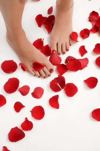 Bella Donna Con Petali Rosa Rossa Mano — Foto Stock